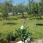 Siesta Guest house
