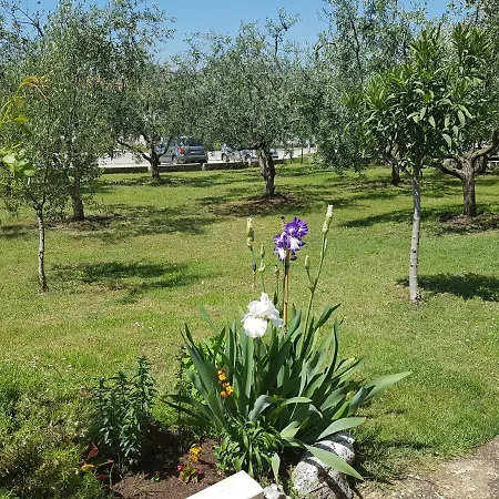Siesta Penzion