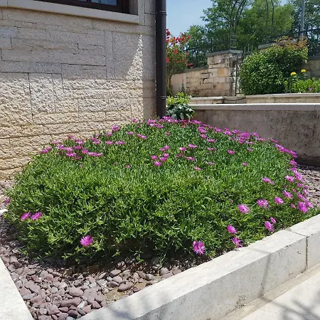 Siesta 게스트하우스 포레치